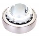 GSH35-2RSR-B | GSH35 RRB [INA Schaeffler] Radial insert ball bearing