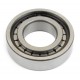 Cylindrical roller bearing U1305TM [GPZ]