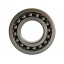 1306 [HARP] Double row self-aligning ball bearing