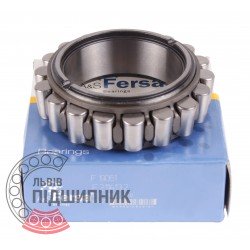 F19061 [Fersa] Cylindrical roller bearing
