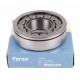 F19013 (F-210540 INA) [Fersa] Cylindrical roller bearing