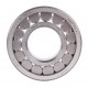 F19013 (F-210540 INA) [Fersa] Cylindrical roller bearing