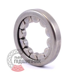 FC65769 [INA] Cylindrical roller bearing