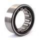 Cylindrical roller bearing M5207TV [Linkbelt]