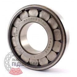 N40000 H100 [SNR] Cylindrical roller bearing