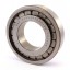 N12528.S09 [SNR] Cylindrical roller bearing