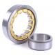 Cylindrical roller bearing NU317M [CX]