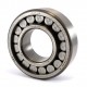 P27-6CG40 [NSK] Cylindrical roller bearing