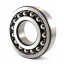 1309 [Kinex] Double row self-aligning ball bearing