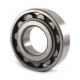 N309 Cylindrical roller bearing