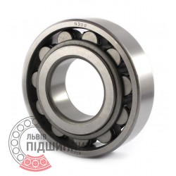 N309 Cylindrical roller bearing