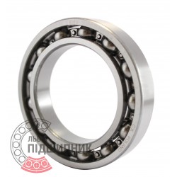 6013 [CX] Deep groove ball bearing