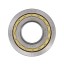 F 19046 (F19046) [Fersa] Cylindrical roller bearing