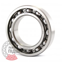 6009 [ZVL] Deep groove ball bearing