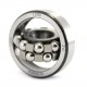 1200 [ZVL] Self-aligning ball bearing