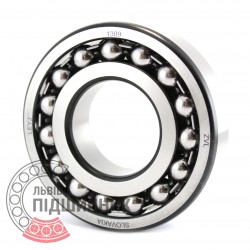 1309 [ZVL] Self-aligning ball bearing