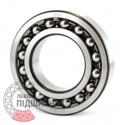 1209 [ZVL] Self-aligning ball bearing