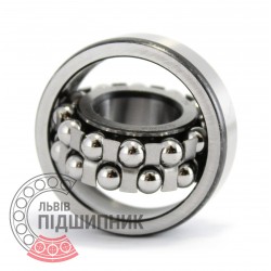 1203 [ZVL] Self-aligning ball bearing