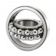 1308 [ZVL] Self-aligning ball bearing