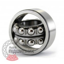 2202 [ZVL] Self-aligning ball bearing