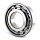 N313 [Kinex] Cylindrical roller bearing
