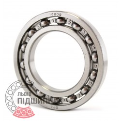 16009 [DPI] Deep groove ball bearing