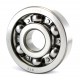 6405 [NTE] Deep groove ball bearing