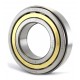 [Fersa] Cylindrical roller bearing