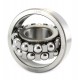1305 [CX] Self-aligning ball bearing