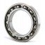 6013 [ZVL] Deep groove open ball bearing