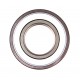 RAE45-XL-NPP-FA106 [INA] Radial insert ball bearing