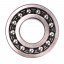 1310 [Kinex] Double row self-aligning ball bearing