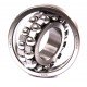 1310 [Kinex] Self-aligning ball bearing