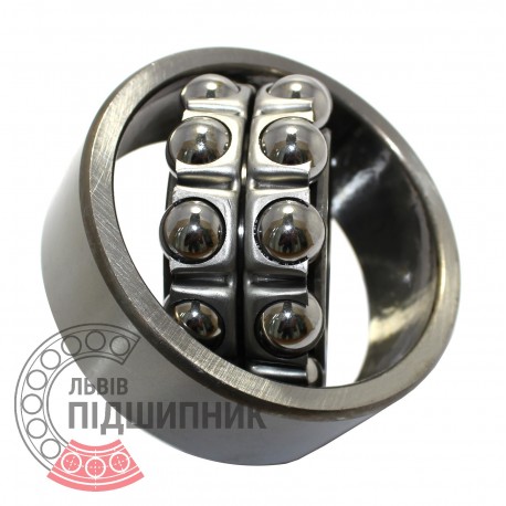 2309 Self-aligning ball bearing