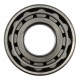 N309 [ZKL Kinex] Cylindrical roller bearing