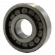 U1304TM [GPZ-34] Cylindrical roller bearing