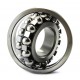 1310 [CX] Self-aligning ball bearing