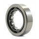 RNU305 [GPZ] Cylindrical roller bearing