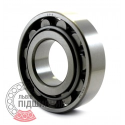 N310 [GPZ-34] Cylindrical roller bearing
