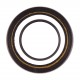 Oil seal 24х39х8,5 BAFSFX2 (HNBR) - 01016893B [Corteco]