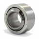 GXSW 16.32 [Fluro] Radial spherical plain bearing