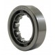 RNU305 [GPZ-15] Cylindrical roller bearing