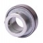 RAE30-NPP [INA] Radial insert ball bearing