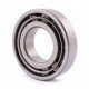NF207 [GPZ-34] Cylindrical roller bearing