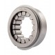 VP31-3NXR [NSK] Cylindrical roller bearing