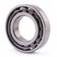 N 209 [Rus-34] Cylindrical roller bearing