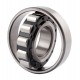 N309 E [ZVL] Cylindrical roller bearing