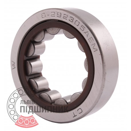 292305 Cylindrical roller bearing
