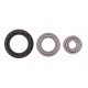 06507 (06507FEBI) [Febi] Rear Wheel Bearing for DAWEOO LANOS 1.4, 1.5 (97-)