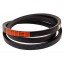 C-1700 [Stomil Harvest] Classic V-Belt C1700 Lw/22x14-1646Li